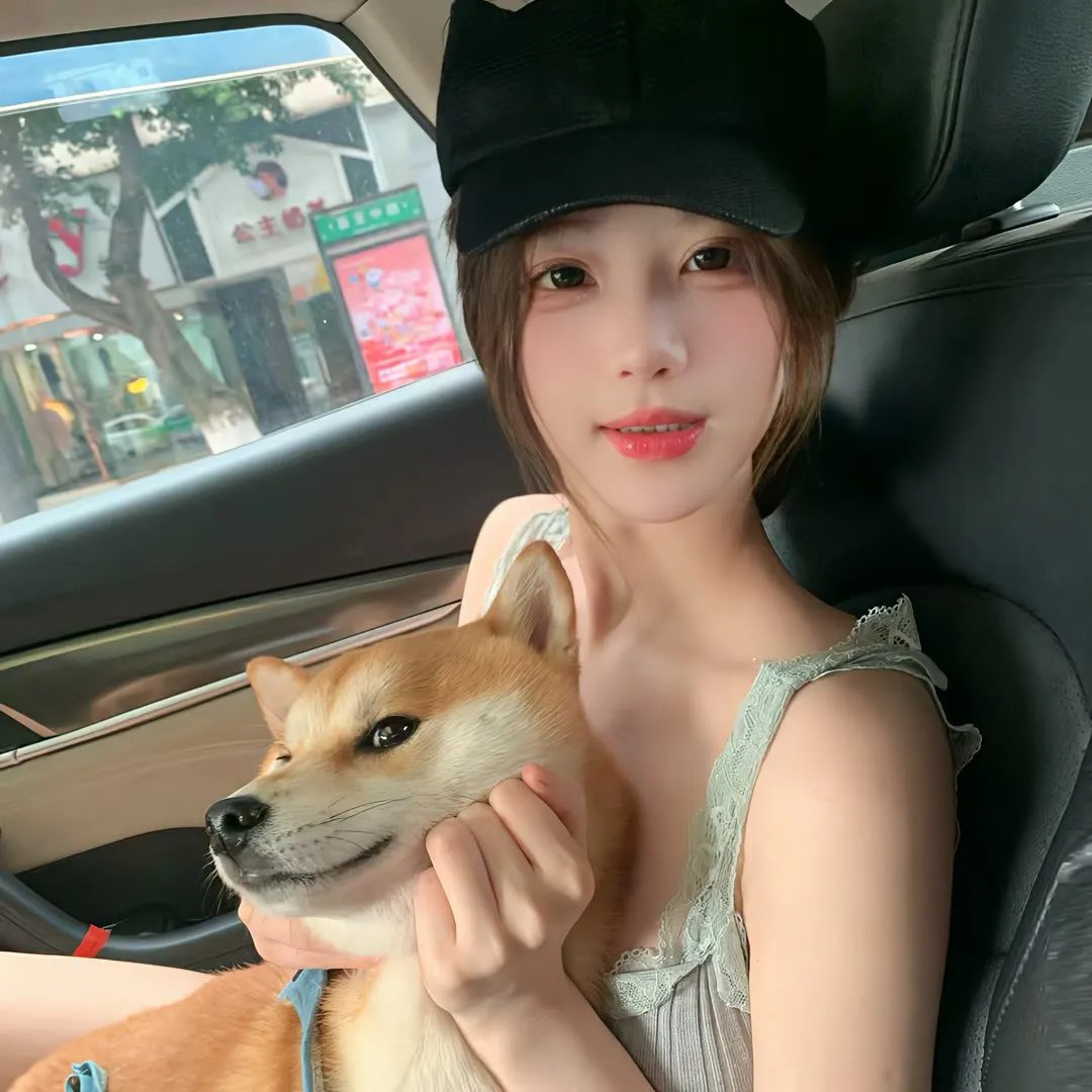 黄猫