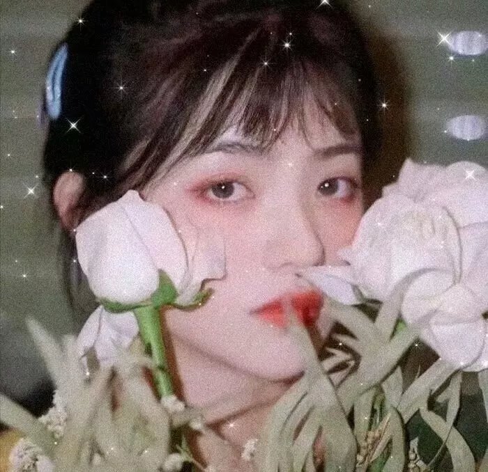 首席女部长